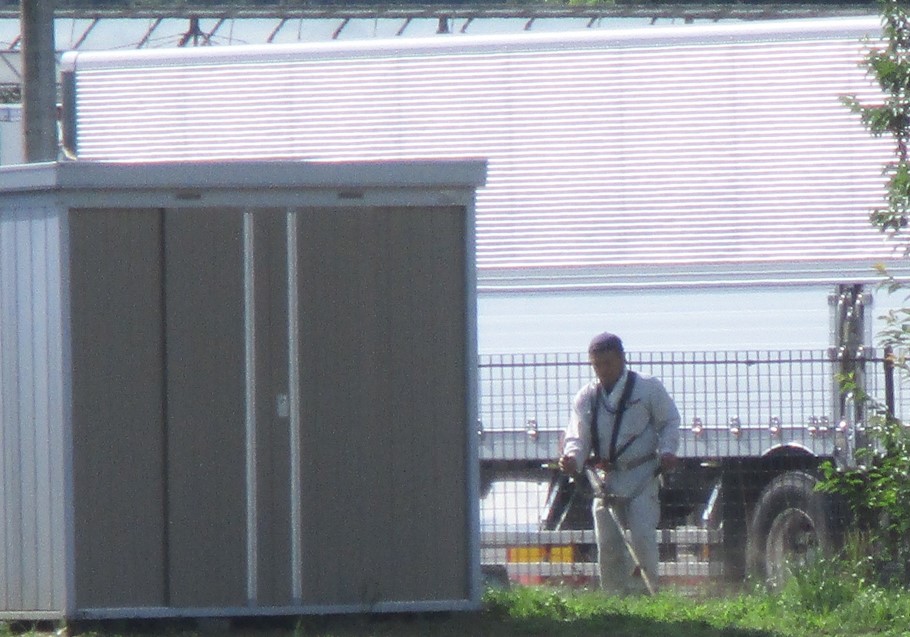図1