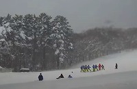 莉頑律縺ョ迪ェ闍嶺サ｣繧ケ繧ュ繝シ蝣エ